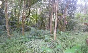 Imagem 4: Lotes 250m2 Escritura próx. asfalto Rio Grande da Serra Estuda Proposta Entrada + Parcelas