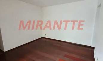 Imagem 4: Lindo apartamento em Vila Albertina