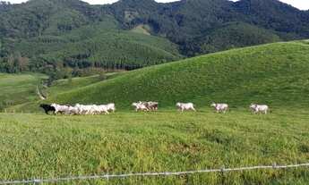 Imagem 6: Terreno de 43.000 m² no Bairro do Barrocão em Piracaia
