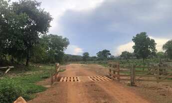 Imagem: FAZENDA NO TO/GO GRANDE OPORTUNIDADE