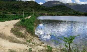 Imagem 2: FAZENDA 153 HECTARES EM ITAPIPOCA DOCUMENTADA OPORTUNIDADE ÚNICA DE INVESTIR