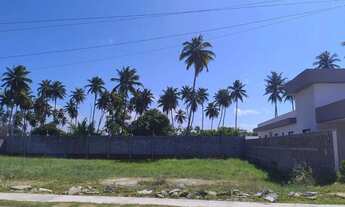 Imagem 2: Lote para Venda em Marechal Deodoro, MASSAGUEIRA