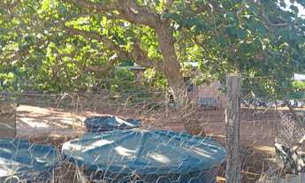 Imagem 2: Vendo ou troco chácara em planaltinaGoiás