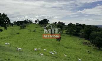 Imagem 3: Fazenda 100 alqueires 484 hectares margens represa ( Nova Aurora