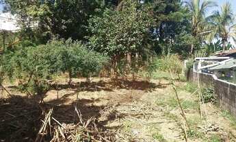 Imagem 4: Terreno com ótima localização para venda-Vila Antonio