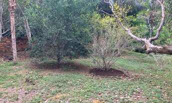 Imagem 6: Vendo Belíssimo Terreno