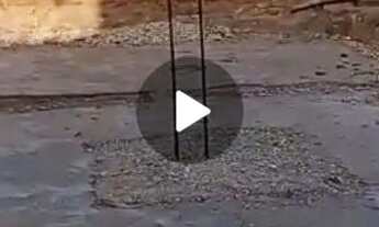 Imagem 6: Casa e quintal no fundo