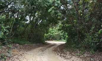 Imagem 6: Vendo terreno em área de praia
