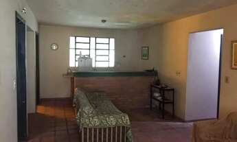 Imagem 6: Ótima morada com figueira e casa ampla