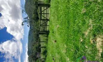 Imagem 6: TERRENO - RATONES - SC