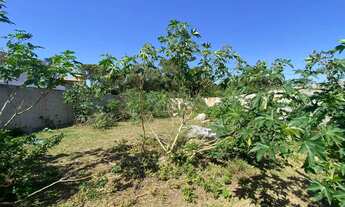 Imagem: Tereno a venda no Pero 420m2 plano com RGI