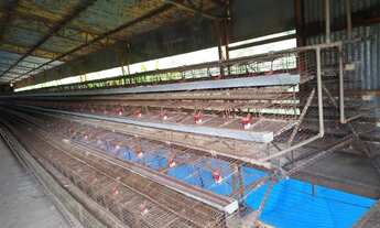 Imagem 4: Propriedade comercial em São Roque) Sitio e Granja 97392 M2 em São Roque