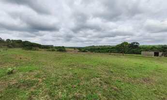 Imagem: Fazenda com cana próximo Uberlândia