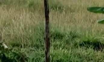 Imagem 3: Lote de 400 metros de esquina 100.000 mil ponte alta gama condomínio Belize