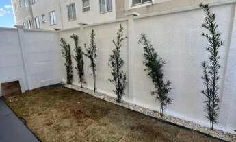 Imagem 5: Apartamento Garden à Venda Conforto e Lazer ao Seu Alcance!