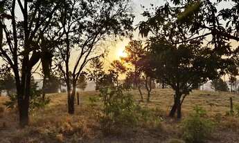Imagem: CHÁCARA EM COCALZINHO GOIÁS LAZER NATUREZA