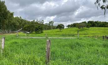 Imagem 5: Terra boa em Heitoraí( ótima estrutura