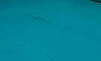 Imagem 7: DAU23: CHAVE VITE ANGELIM