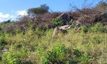 Imagem 5: Terrenos em Arcoverde PE