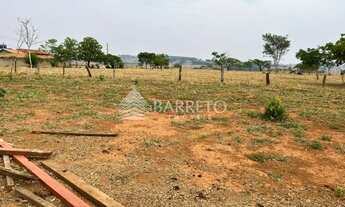 Imagem 4: Lote Americano do Brasil