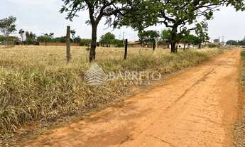 Imagem 7: Lote Americano do Brasil