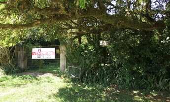 Imagem 2: Ótima morada com figueira e casa ampla