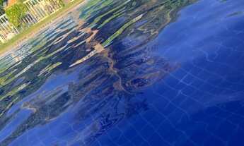 Imagem 4: Alugo Ap Valle dos Coqueiros