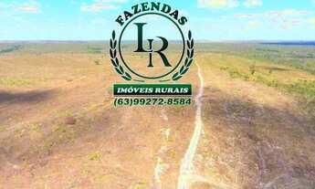 Imagem 3: Fazenda Tocantins 130 Alqueires Lavoura