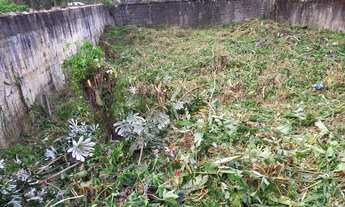 Imagem 2: Terreno 377mts Itanhaém SP Lado praia