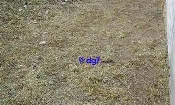 Imagem 5: Terreno à venda, 253 m² - Adalgisa - Osasco/SP