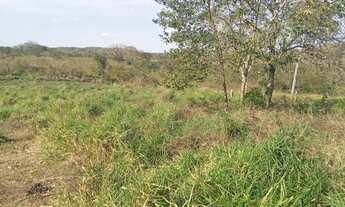 Imagem: Lote Para Loteamento ou Condomínio metragem