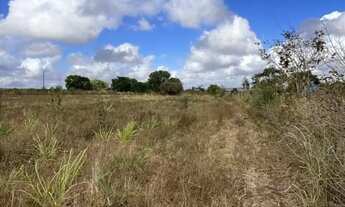 Imagem 6: Vende se sítio Chácara com venda por R$200.000