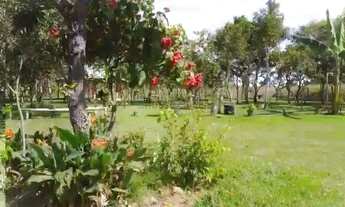 Imagem: Chácara de 4,25 hectares na região da