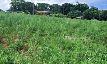 Imagem 3: Sítio 2,225 alqueires/Altônia PR