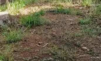 Imagem 6: Terreno à venda Alzira - Santo André - SP