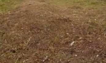 Imagem: Bando aceito oferta e trocas