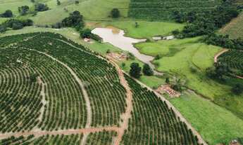 Imagem: CAFÉ PRODUÇÃO E QUALIDADE