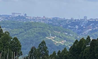 Imagem 2: Terreno 4ha - Vista fantástica de Bento Gonçalves - Cond Fechado