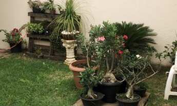 Imagem 7: Casa para venda tem 210 metros quadrados com 3 quartos em Jardim Atlântico - Goiânia - GO