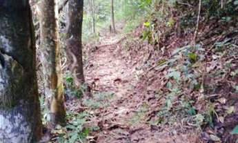 Imagem 3: Chácara de 57.000m² com nascente, rio de águas cristalinas /Jaboticatubas