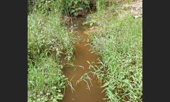 Imagem 5: Chacara em Natividade da Serra SP, apenas 7 km do centro da cidade