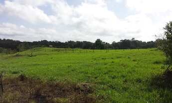 Imagem 2: 175 hectares pronta por R$1.3 milhões de reais há 100 km de Belém