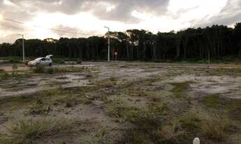 Imagem 3: Terreno à venda, 540 m² por R$ 270.000,00 - Nova Barra Velha - Barra Velha/SC