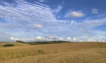 Imagem 7: Porto Amazonas - 389 Hectares - Plantando 90 Alqueires - Com Sede Completa