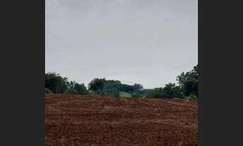 Imagem 2: Chácara à venda, 2.5 alqueires mecanizados, localizada no município de Corumbataí do Sul