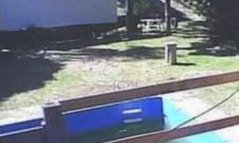 Imagem 4: Area em Campo Novo