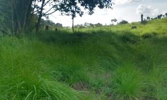 Imagem 2: Fazenda à venda, Alça Viária, Acará, PA