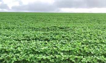 Imagem: Fazenda à venda em Jangada-MT