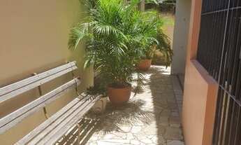 Imagem 3: Casa para venda com 245 metros, ideal para comércio, Pina - Recife - PE