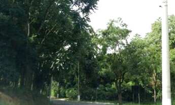 Imagem 4: TERRENO - ALTOS DO MORUMBI - SP